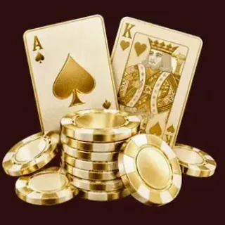 Poker playing cards — WSM Casino